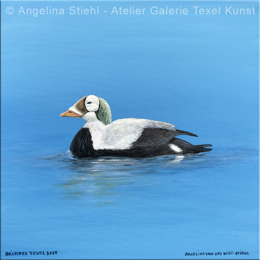 Gemaelde Plueschkopfente Texel von der Texeler bildenden Kuenstlerin Angelina Stiehl