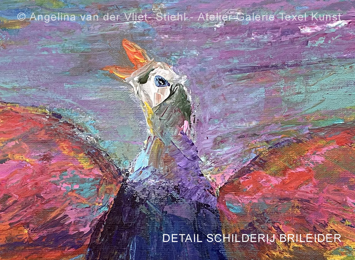 Schilderij Brileider Somateria fischeri op Texel door Texels beeldend kunstenaar Angelina Stiehl