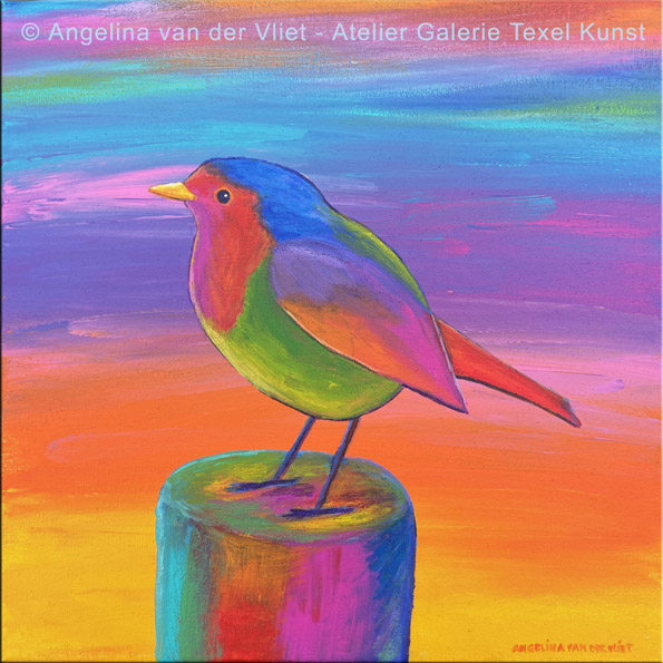 Schilderij Kleurrijk Roodborstje Texel door Angelina van der Vliet - Stiehl